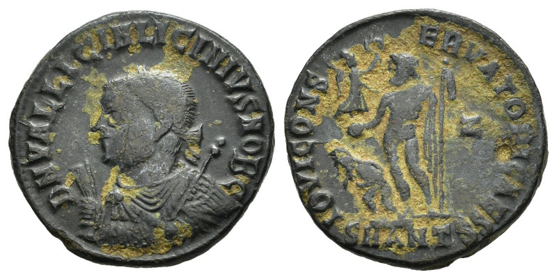 LICINIO II, Cesare (317-324). Antiochia. Nummus. 317-320. AE (2,78 g). D/ D N VA...