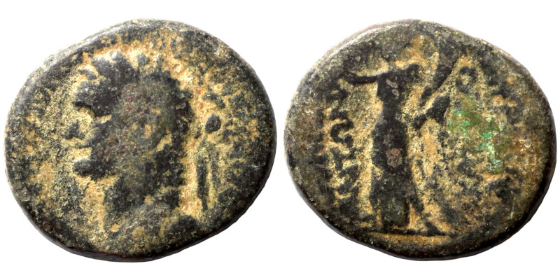 Vespasian (69-79) bronze

19mm 6,56g