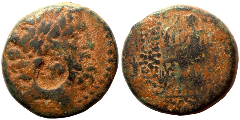 Seleucis and Pieria. Antioch, 1st century BC. Laureate head of Zeus right.

23...