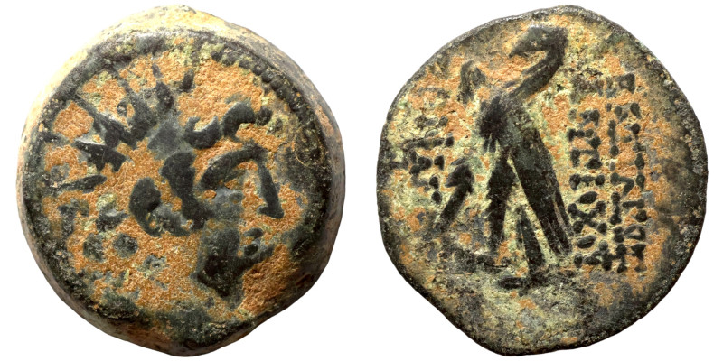 Seleucid Kingdom. Antiochos VIII. Epiphanes. (109-96 BC). Bronze Æ

18mm 6,35g...