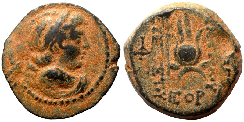 Seleukid Kingdom. Antiochos VII. AE 18. 138-129 a.C.

18mm 5,69g