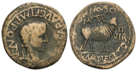 Celtiberian Coins

As. 14-36 d.C. ÉPOCA DE TIBERIO. TURIASO (TARAZONA, Zaragoza). Anv.: (TI. CAE)SAR AVG. F. IMP. PONT. M. Cabeza laureada de Tiberi...