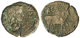 Celtiberian Coins

As. 14-36 d.C. ÉPOCA DE TIBERIO. TURIASO (TARAZONA, Zaragoza). Anv.: TI. CAESAR (AVGVST. F. IMPERATOR). Cabeza laureada de Tiberi...