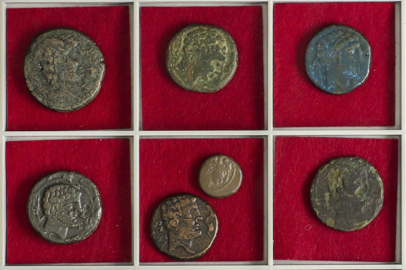 Celtiberian Coins

Lote 7 monedas Cuadrante y As (6). AE. Varias cecas: Arsaos...