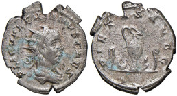 Valeriano II (254-255) Antoniniano - Busto radiato a d. - R/ Strumenti sacrificali - RIC 20 MI (g 3,50)

BB+
