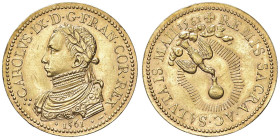 FRANCIA Carlo IX (1560-1574) Medaglia 1561 per l'incoronazione - AU (g 34,00 - 32 mm) Coniazione postuma. Colpetti al bordo

SPL+