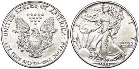 USA Dollaro 1988 - AG (g 31,55)

FDC