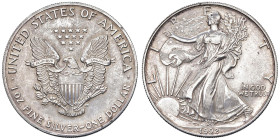 USA Dollaro 1992 - AG (g 31,22)

SPL