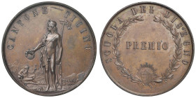 SVIZZERA. Canton Ticino Medaglia coniata senza data (fine XIX sec.) Premio della Scuola del Disegno - Medaglia senza firma - AE (g.28,62 - Ø 44 mm) co...