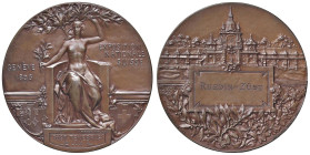 SVIZZERA. Ginevra Medaglia artistica coniata 1896 Esposizione Nazionale Svizzera di Ginevra - Opus: G.Hantz, A. Meyer inventore e modellatore e G. Chi...
