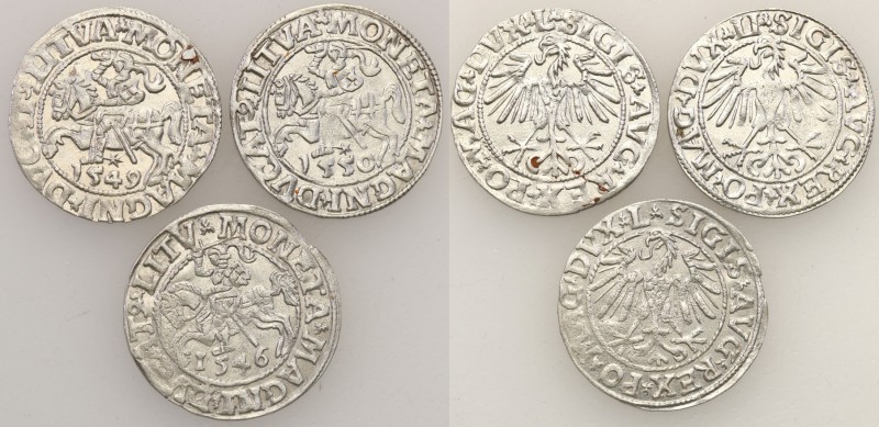 Sigismund II August
POLSKA/ POLAND/ POLEN/ LITHUANIA/ LITAUEN

Sigismund II A...