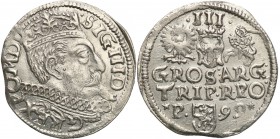COLLECTION of Polish 3 grosze
POLSKA/ POLAND/ POLEN/ LITHUANIA/ LITAUEN

Sigismund III Vasa. Trojak (3 grosze) 1599, Poznan 
Odmiana, w której u d...