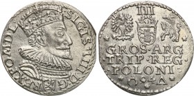 COLLECTION of Polish 3 grosze
POLSKA/ POLAND/ POLEN/ LITHUANIA/ LITAUEN

Sigismund III Vasa. Trojak (3 grosze) 1594, Malbork 
Odmiana z otwartym p...