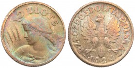 Poland II Republic 
POLSKA / POLAND / POLEN

II RP. 2 zlote 1924, Paris 
Kolorowa patyna, delikatnie wytarte najwyższe elementy monety. Bardzo ład...