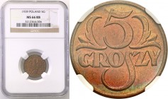 Poland II Republic 
POLSKA / POLAND / POLEN

II RP. 5 groszy 1939 NGC MS66 RB (MAX) 
Najwyższa nota gradingowa na świecie.Pospolity rocznik pięcio...