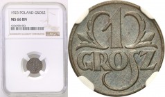 Poland II Republic 
POLSKA / POLAND / POLEN

II RP. 1 grosz 1923 NGC MS66 BN (2 MAX) 
Druga najwyższa nota gradingowa na świecie. Piękny, menniczy...