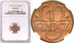 Poland II Republic 
POLSKA / POLAND / POLEN

II RP.1 grosz 1923 NGC MS66 RB (2 MAX) 
Druga najwyższa nota gradingowa na świecie. Tylko 2 egzemplar...