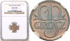 Poland II Republic 
POLSKA / POLAND / POLEN

II RP. 1 grosz 1925 NGC MS66 RB (MAX) 
Najwyższa nota gradingowa na świecie.Wyśmienicie zachowana mon...