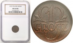 Poland II Republic 
POLSKA / POLAND / POLEN

II RP. 1 grosz 1925 NGC MS64 BN 
Menniczy egzemplarz z brązową patyną na całej powierzchni.Parchimowi...