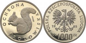 Collection - Nickel Probe Coins
POLSKA/ POLAND/ POLEN/ PROBE/ PATTERN

PRL. PROBE/PATTERN nickel 1000 zlotych 1985 Wiewiórka 
Piękny egzemplarz.Fi...