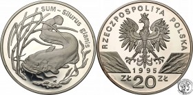Polish collector coins after 1990
POLSKA/ POLAND/ POLEN

III RP. 20 zlotych 1995 Catfish 
Piękny menniczy egzemplarz. Delikatna patyna. Rzadsza mo...