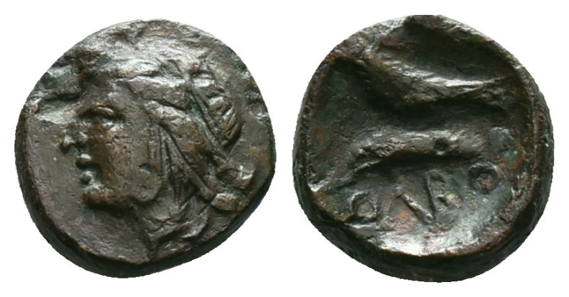 Greek Coins
SKYTHIA. Olbia. Ae (Circa 330 BC). Xeni-, magistrate. Obv: Head of ...