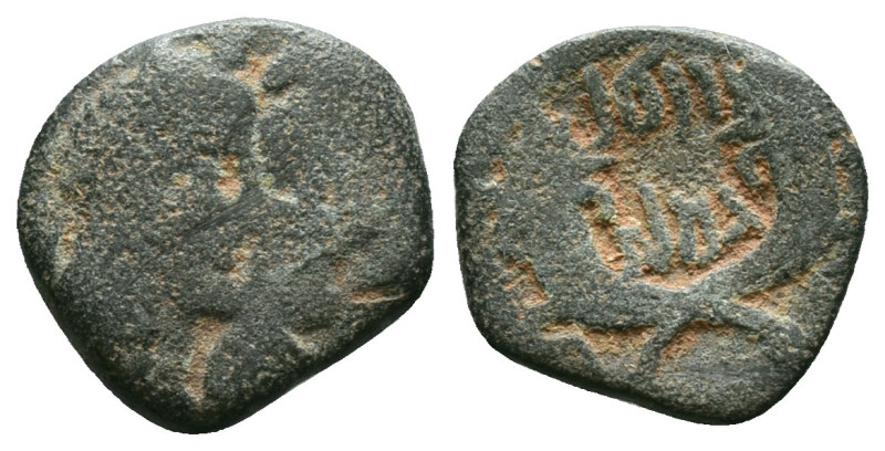 Greek Coins
Kingdom of Nabatea.

Weight: 3.45 gr. Diameter: 15.1 mm