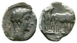 Roman Provincial Coins, Ae 

Reference:

Condition: Very Fine

Weight: 2.69 gr. Diameter: 17.6 mm