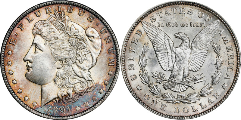 1891 Morgan Silver Dollar. Unc Details--Altered Surfaces (PCGS).
PCGS# 7204. NG...