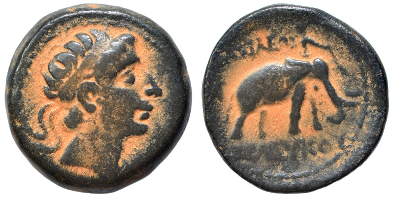 SELEUKID KINGS of SYRIA. Seleukos II Kallinikos, 246-226 BC. Ae (bronze, 5.56 g,...