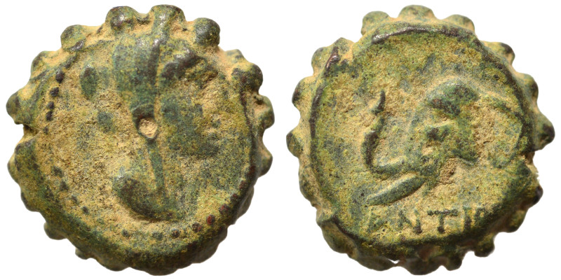 SELEUKID KINGS of SYRIA. Seleukos IV Philopator, 187-175 BC. Ae Serrate (bronze,...