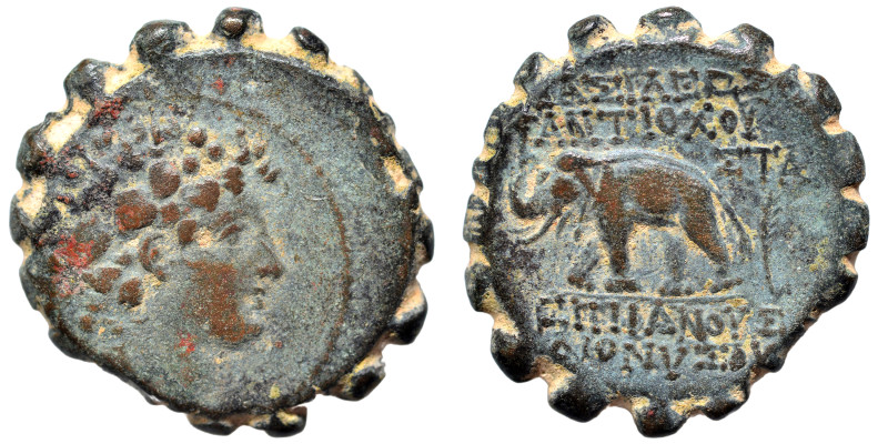 SELEUKID KINGS of SYRIA. Antiochos VI Dionysos, 144-142 BC. Ae Serrate (bronze, ...
