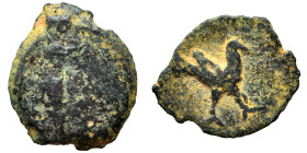 Uncertain. Ae (bronze, 1.03 g, 13 mm). Bird standing right. Rev. Uncertain. Fine.