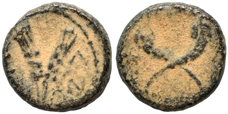 Greek. Ae (bronze, 1.71 g, 12 mm). Two ears of grain. Rev. Crossed cornucopiae. ...