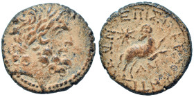 SYRIA. Seleucis and Pieria. Antioch. Pseudo-autonomous issue, time of Augustus, 27 BC-14 AD. Ae (bronze, 6.80 g, 20 mm), Q. Caecilius Metellus Creticu...