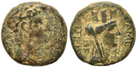 SYRIA, Seleucis and Pieria. Apameia. Augustus (?), 27 BC-AD 14. Ae (bronze, 8.60 g, 19 mm). Laureate head right. Rev. AΠAMEΩN THΣ IEPAΣ KAI AΣYΛOY Tur...