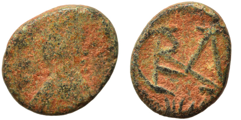 VANDALS. Gelimer. 530-534. Nummus (bronze, 0.75 g, 10 mm), Carthage. Diademed, d...