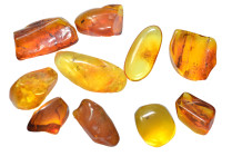 Baltic amber. Group lot of 10 pieces.