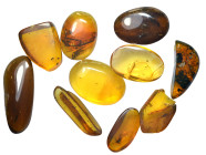 Burmese amber. Group lot of 10 pieces.