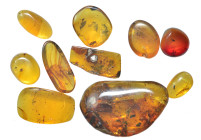 Burmese amber. Group lot of 10 pieces.