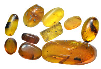 Burmese amber. Group lot of 10 pieces.