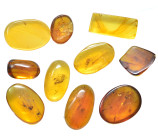 Burmese amber. Group lot of 10 pieces.