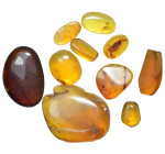 Burmese amber. Group lot of 10 pieces.