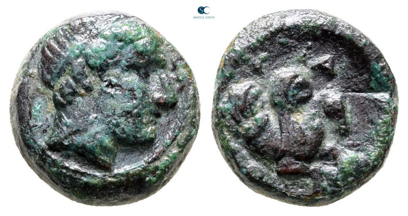 Mysia. Adramytteion circa 350 BC. 
Bronze Æ

11 mm, 1,72 g



Very Fine