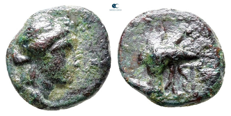 Troas. Abydos circa 400-250 BC. 
Bronze Æ

11 mm, 0,99 g



Nearly Very F...