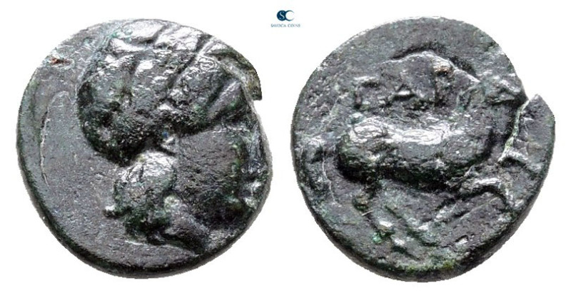 Troas. Gargara circa 400-284 BC. 
Bronze Æ

9 mm, 0,57 g



Good Fine