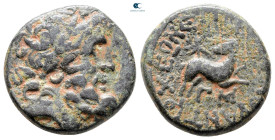 Seleucis and Pieria. Antioch. Pseudo-autonomous issue. Time of Augustus 27 BC-AD 14. 
Bronze Æ

18 mm, 6,95 g



Very Fine
