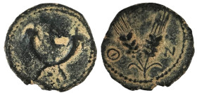 JUDAEA, Herodians. Herod II Archelaus, 4 BCE-6 CE. 2 Prutot, Jerusalemİ
Weight : 2.07 gr Diameter : 13.29 mm