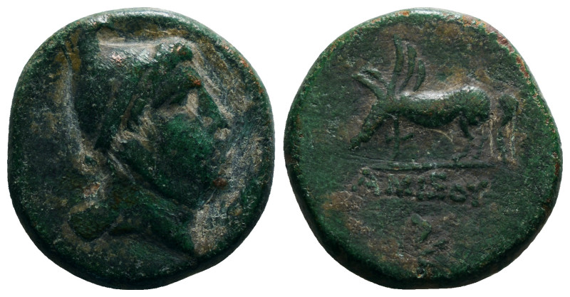 PONTOS. Amisos. Ae (Circa 85-65 BC). Time of Mithradates VI Eupator.
Obv: Head o...