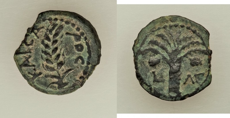 JUDAEA. Roman Procurators. Marcus Ambibulus (AD 9-12). AE prutah (16mm, 2.10 gm,...